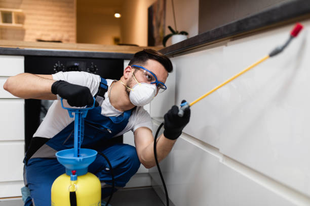 Trusted Collinsville, AL Pest Control Experts