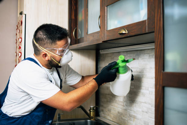 Best Termite Control Services  in Collinsville, AL