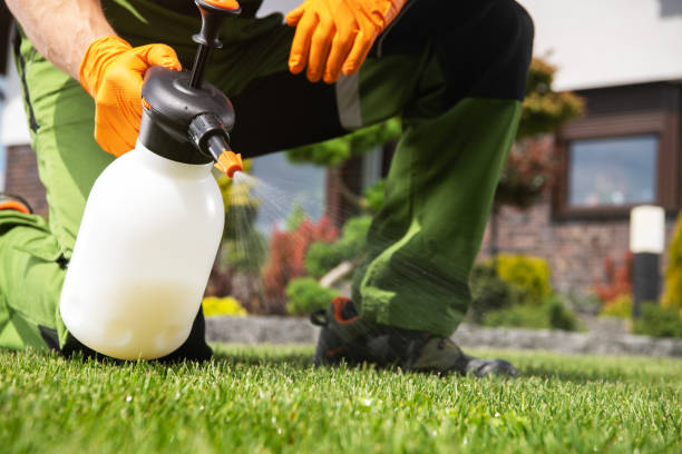 Best Affordable Pest Control Services  in Collinsville, AL