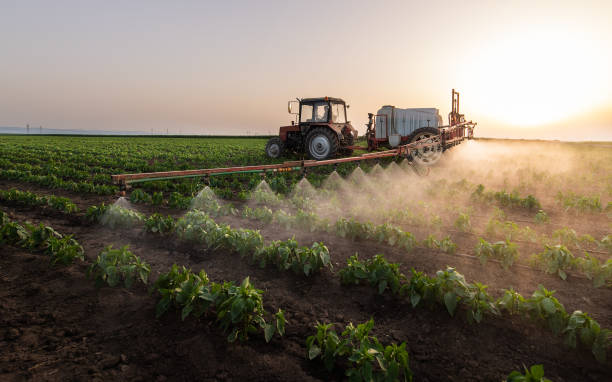 Best Commercial Pest Control Services  in Collinsville, AL