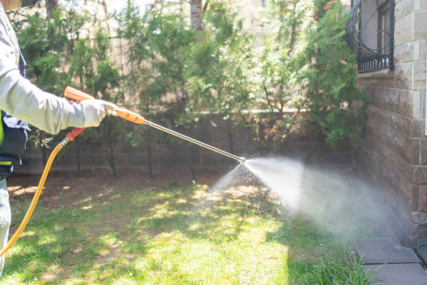 Best Wasp Removal Services  in Collinsville, AL