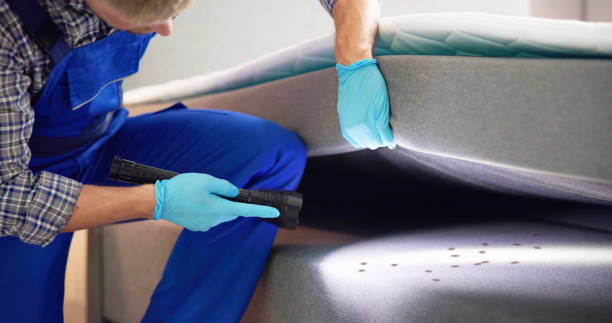 Wasp Removal Services in Collinsville, AL