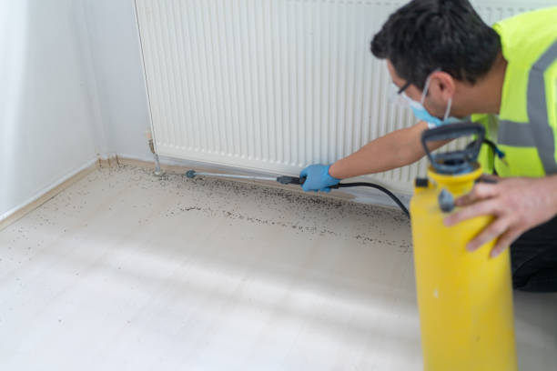 Trusted Collinsville, AL Pest Control Experts