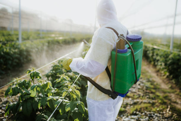 Best Affordable Pest Control Services  in Collinsville, AL